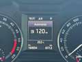 Skoda Octavia Wagon 2.0 tdi Scout 4x4 184cv dsg Wit - thumbnail 12