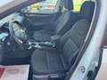 Skoda Octavia Wagon 2.0 tdi Scout 4x4 184cv dsg Wit - thumbnail 8