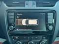 Skoda Octavia Wagon 2.0 tdi Scout 4x4 184cv dsg Wit - thumbnail 15