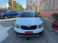 Skoda Octavia Wagon 2.0 tdi Scout 4x4 184cv dsg Wit - thumbnail 3