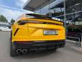 Lamborghini Urus *AHK*Massage*Pano*Akrapovic*23"*360°Kamera Galben - thumbnail 5