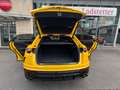 Lamborghini Urus *AHK*Massage*Pano*Akrapovic*23"*360°Kamera Galben - thumbnail 11