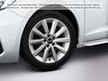 Audi A1 25 TFSI S LINE LED SITZH PDC AUDI-S Weiß - thumbnail 7