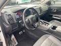 Citroen C5 Aircross 1.5 BLUEHDI 130 EAT8 SHINE Weiß - thumbnail 10