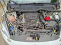 Ford Fiesta Fiesta Titanium 1,0 EcoBoost Start/Stop Titanium Weiß - thumbnail 14