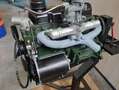Ford Anglia quattrostagioni Alb - thumbnail 7