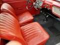 Ford Anglia quattrostagioni Alb - thumbnail 10
