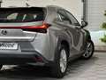 Lexus Sonstige Hybrid 250h 4WD 2.0 184 ch Pack Confort Grau - thumbnail 24