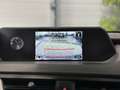 Lexus Sonstige Hybrid 250h 4WD 2.0 184 ch Pack Confort Grau - thumbnail 15