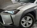 Lexus Sonstige Hybrid 250h 4WD 2.0 184 ch Pack Confort Grau - thumbnail 23