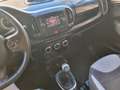 Fiat 500L 500L 1.3 mjt Business 85 cv 24 NESI GARANZIA - thumbnail 10