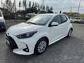 Toyota Yaris 1.5 Hybrid 5 porte Business Bianco - thumbnail 2