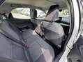Toyota Yaris 1.5 Hybrid 5 porte Business Bianco - thumbnail 11