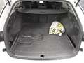 Skoda Octavia Kombi 1.4 TSI iV Style Navi LED vc RFK Weiß - thumbnail 12