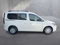 Volkswagen Caddy Family TDI Weiß - thumbnail 6