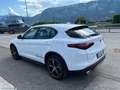 Alfa Romeo Stelvio 2.2 T.diesel 190 CV AT8 Q4 Bus. Blanc - thumbnail 6