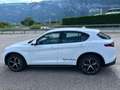 Alfa Romeo Stelvio 2.2 T.diesel 190 CV AT8 Q4 Bus. Blanc - thumbnail 5