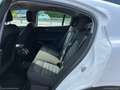 Alfa Romeo Stelvio 2.2 T.diesel 190 CV AT8 Q4 Bus. Blanc - thumbnail 14