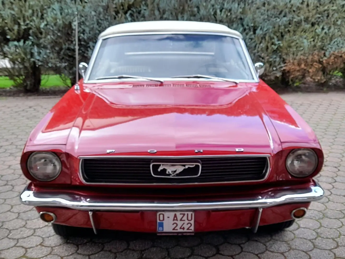 Ford Mustang Convertible 4.7 V8 1966 Rood - 2