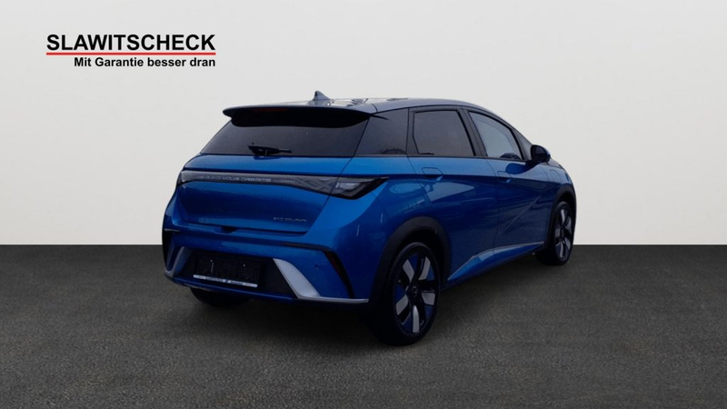 BYD Dolphin Design — photo 4