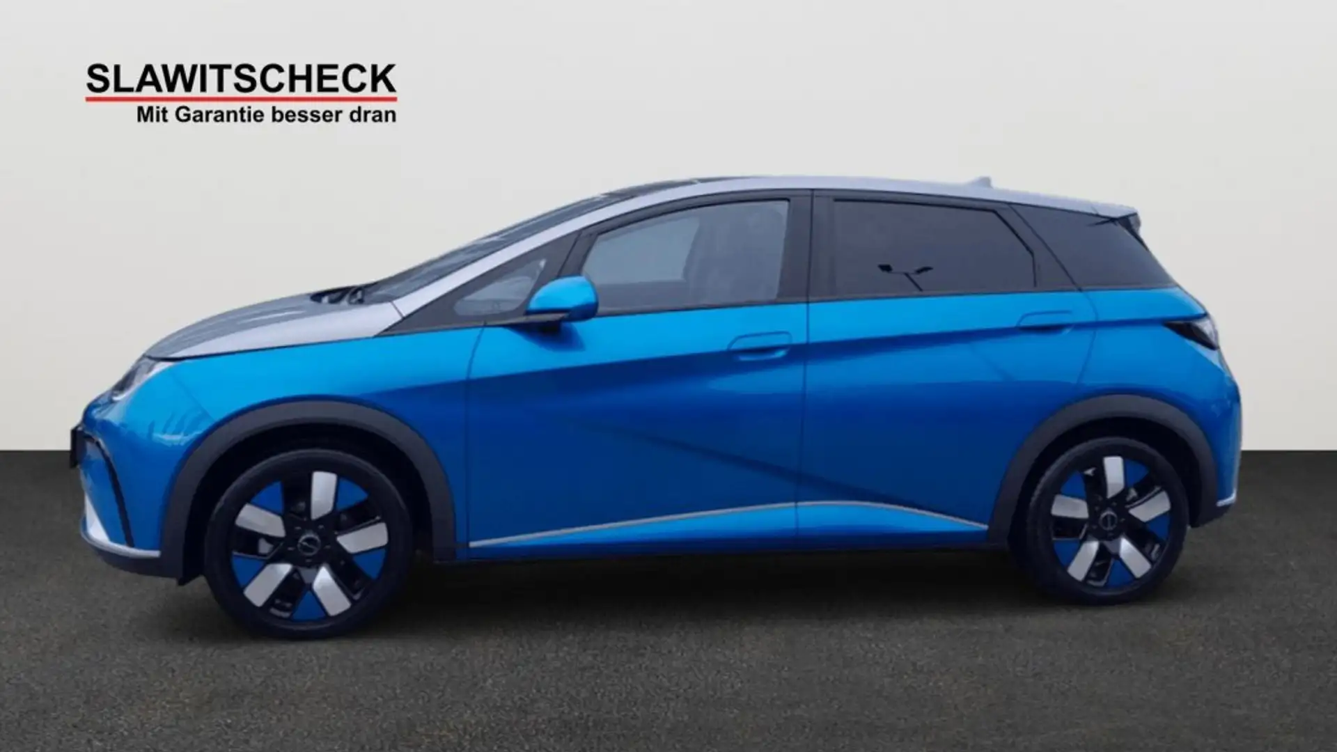 BYD Dolphin Design Blau - 2