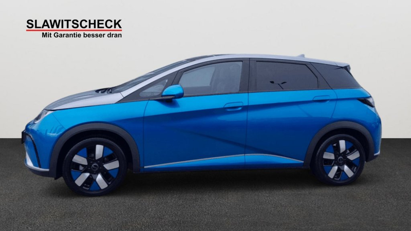BYD Dolphin Design — photo 2
