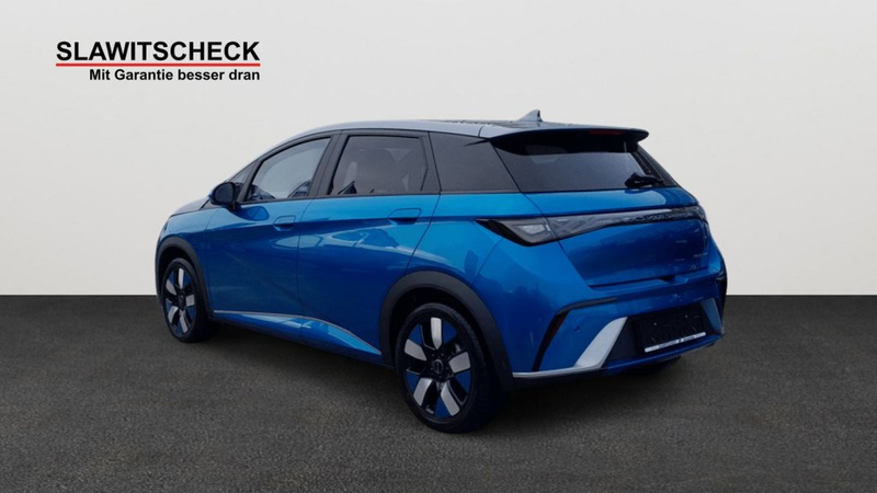 BYD Dolphin Design — photo 3
