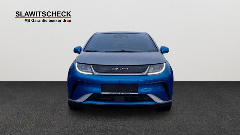 BYD Dolphin Design — photo 6