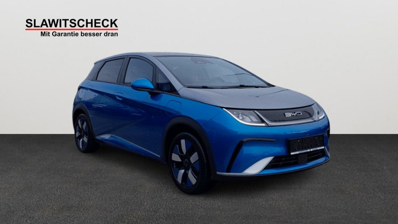 BYD Dolphin Design — photo 5