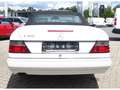 Mercedes-Benz E 320 Cabrio Automatik Sitzheizung Leder 4-Sitze Alb - thumbnail 9