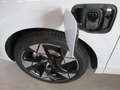 CUPRA Terramar 1,5 TSI 204PS PHEV 19,7kWh Cupra DSG Weiß - thumbnail 19