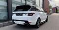 Land Rover Range Rover Sport Sport HSE Dynamic*Matrix*Softclose*Sitzbel*21" Weiß - thumbnail 5