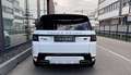 Land Rover Range Rover Sport Sport HSE Dynamic*Matrix*Softclose*Sitzbel*21" Weiß - thumbnail 7
