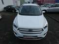 Ford Kuga 1,5 Ecoboost Titanium *NAVI*PDC*ALU*KLIMA* Weiß - thumbnail 13