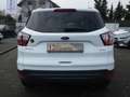 Ford Kuga 1,5 Ecoboost Titanium *NAVI*PDC*ALU*KLIMA* Weiß - thumbnail 6