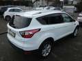 Ford Kuga 1,5 Ecoboost Titanium *NAVI*PDC*ALU*KLIMA* Weiß - thumbnail 8