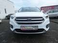 Ford Kuga 1,5 Ecoboost Titanium *NAVI*PDC*ALU*KLIMA* Weiß - thumbnail 12