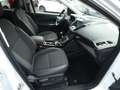 Ford Kuga 1,5 Ecoboost Titanium *NAVI*PDC*ALU*KLIMA* Weiß - thumbnail 21