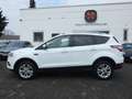 Ford Kuga 1,5 Ecoboost Titanium *NAVI*PDC*ALU*KLIMA* Weiß - thumbnail 3