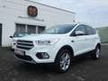 Ford Kuga 1,5 Ecoboost Titanium *NAVI*PDC*ALU*KLIMA* Weiß - thumbnail 1