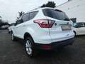 Ford Kuga 1,5 Ecoboost Titanium *NAVI*PDC*ALU*KLIMA* Weiß - thumbnail 4