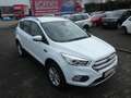 Ford Kuga 1,5 Ecoboost Titanium *NAVI*PDC*ALU*KLIMA* Weiß - thumbnail 11