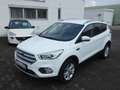 Ford Kuga 1,5 Ecoboost Titanium *NAVI*PDC*ALU*KLIMA* Weiß - thumbnail 2