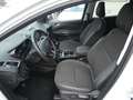 Ford Kuga 1,5 Ecoboost Titanium *NAVI*PDC*ALU*KLIMA* Weiß - thumbnail 14