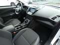 Ford Kuga 1,5 Ecoboost Titanium *NAVI*PDC*ALU*KLIMA* Weiß - thumbnail 22