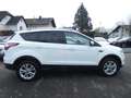Ford Kuga 1,5 Ecoboost Titanium *NAVI*PDC*ALU*KLIMA* Weiß - thumbnail 9