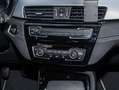 BMW X2 sDrive18d AHK RFK LED PDC V+H DAB Parkass. Blau - thumbnail 14