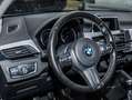 BMW X2 sDrive18d AHK RFK LED PDC V+H DAB Parkass. Blau - thumbnail 19