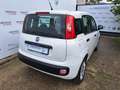 Fiat Panda 1.2 Easy Van 4 posti Bianco - thumbnail 8