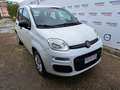 Fiat Panda 1.2 Easy Van 4 posti Bianco - thumbnail 6